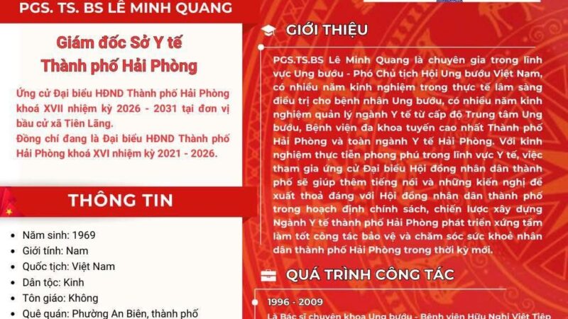TIỂU SỬ TÓM TẮT CỦA NGƯỜI ỨNG CỬ ĐẠI BIỂU HĐND THÀNH PHỐ HẢI PHÒNG KHOÁ XVII, NHIỆM 2026-2031